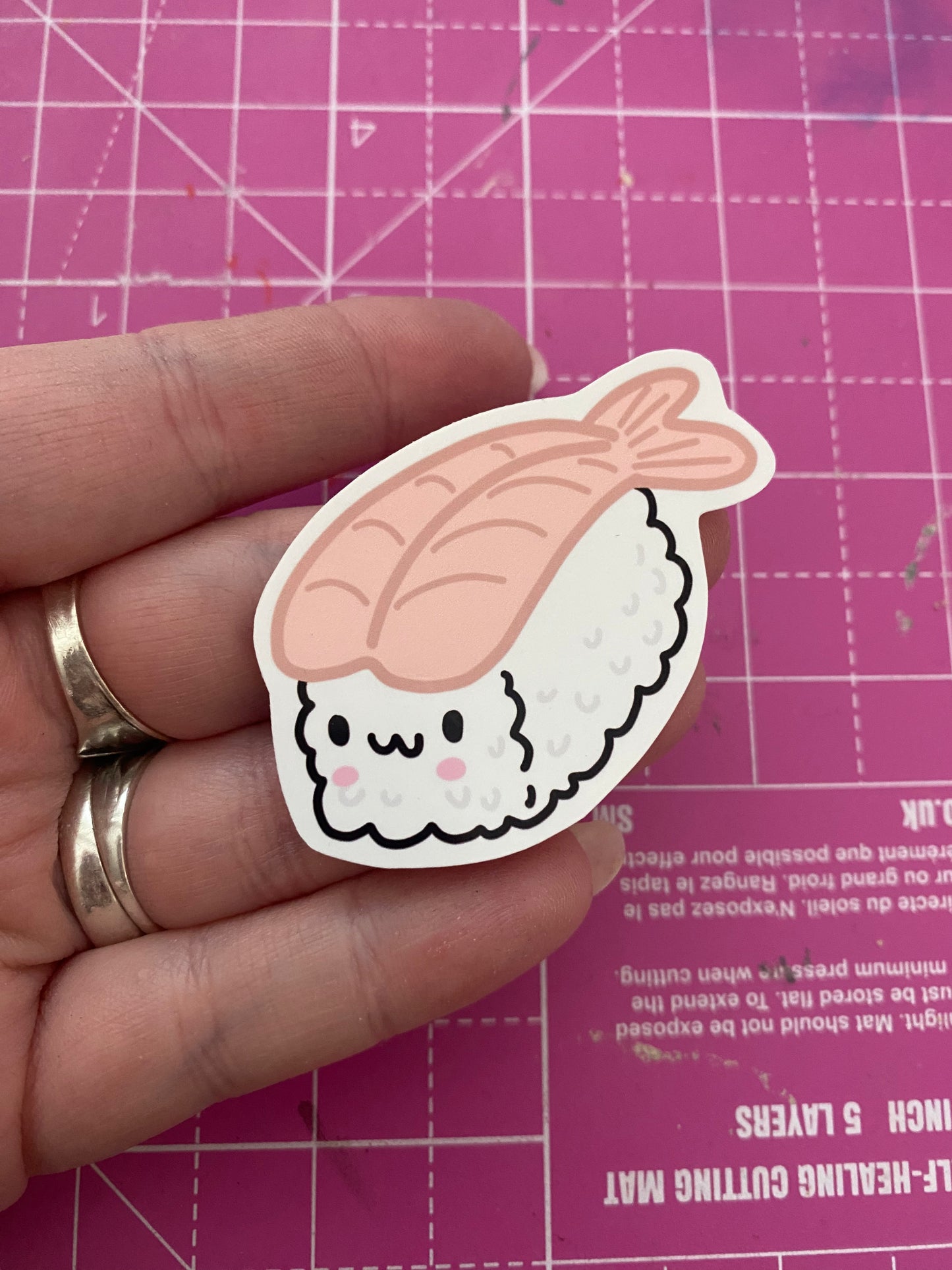Cute Sushi vinyl stickers (medium)