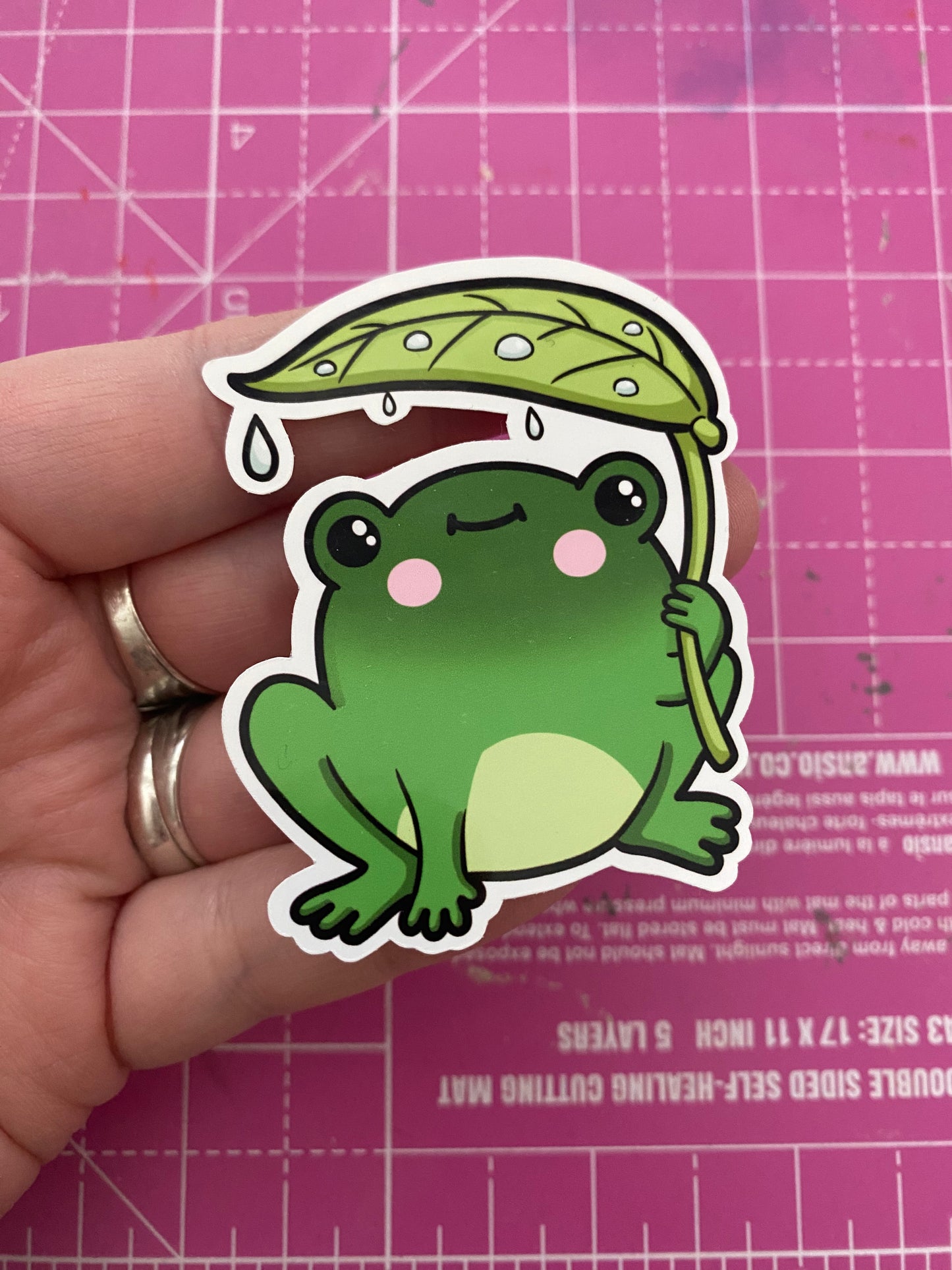Rainy Day Frogs vinyl stickers (medium)