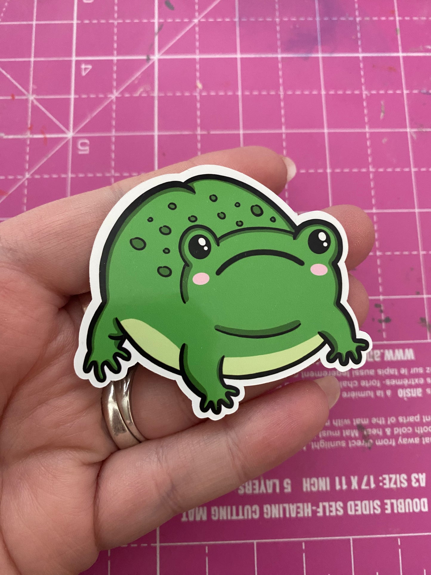 Rainy Day Frogs vinyl stickers (medium)
