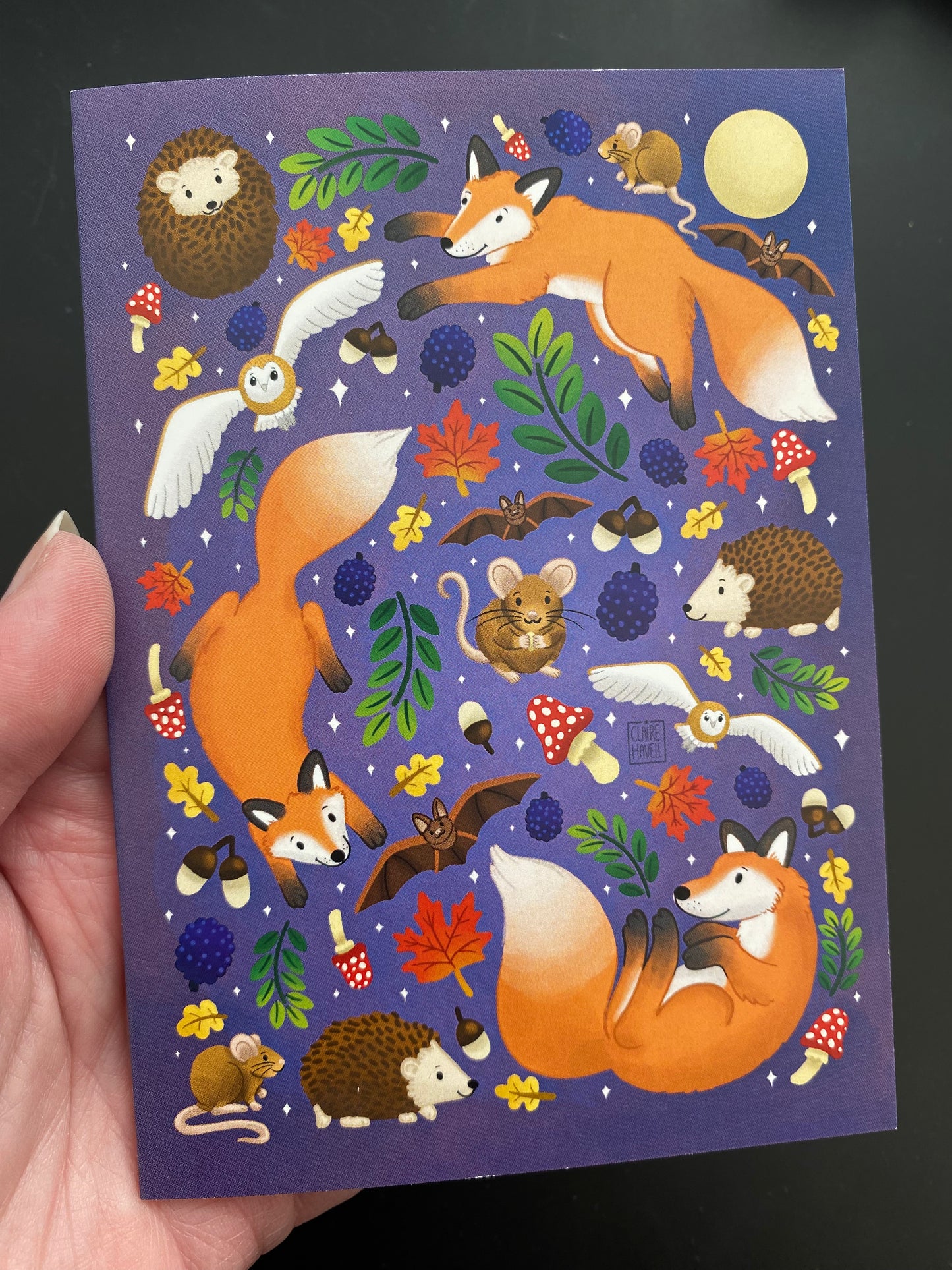 Nocturnal Animals card