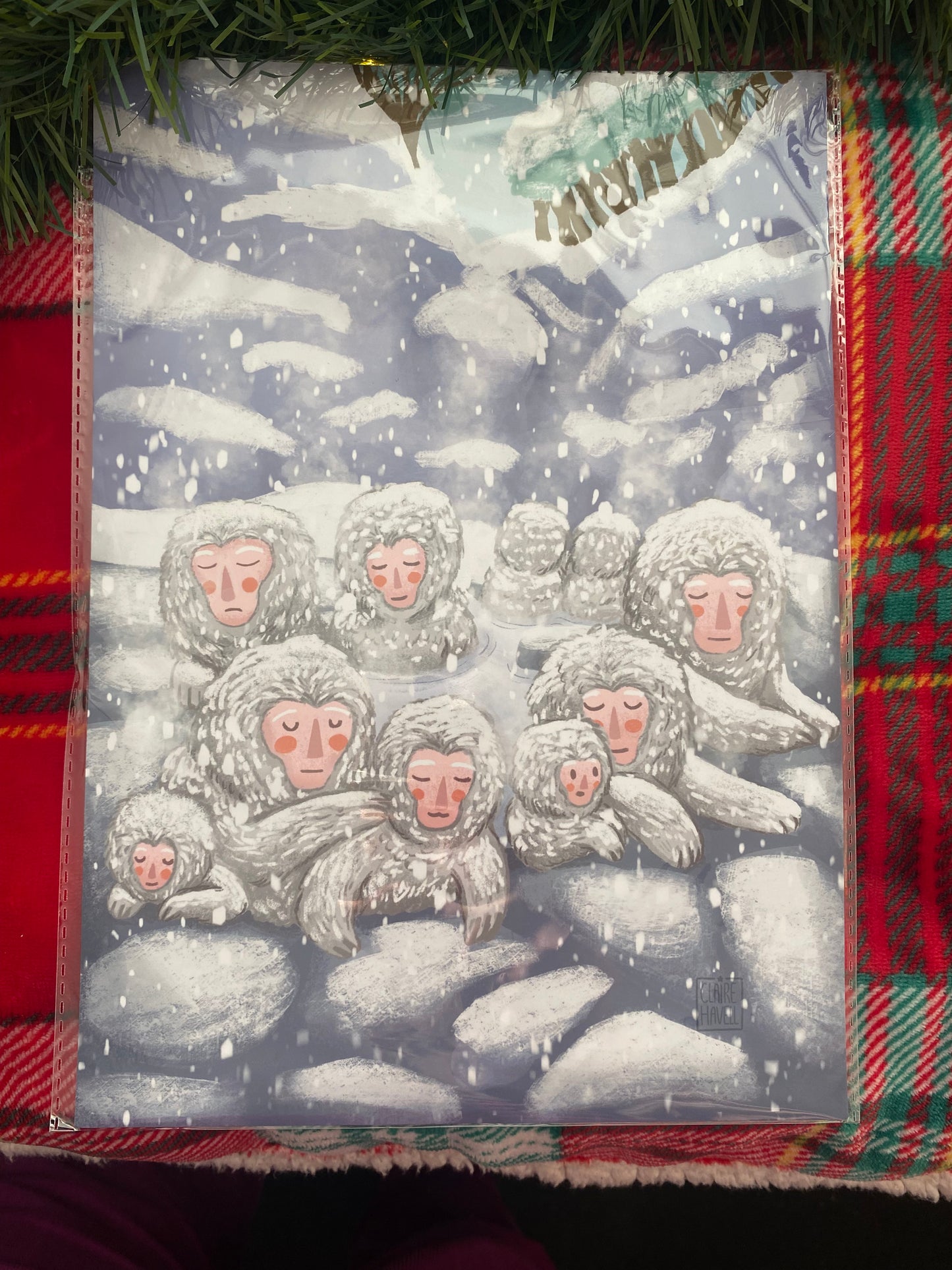 Snow Monkeys Print