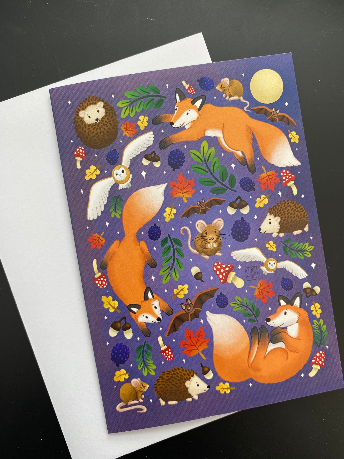 Nocturnal Animals card