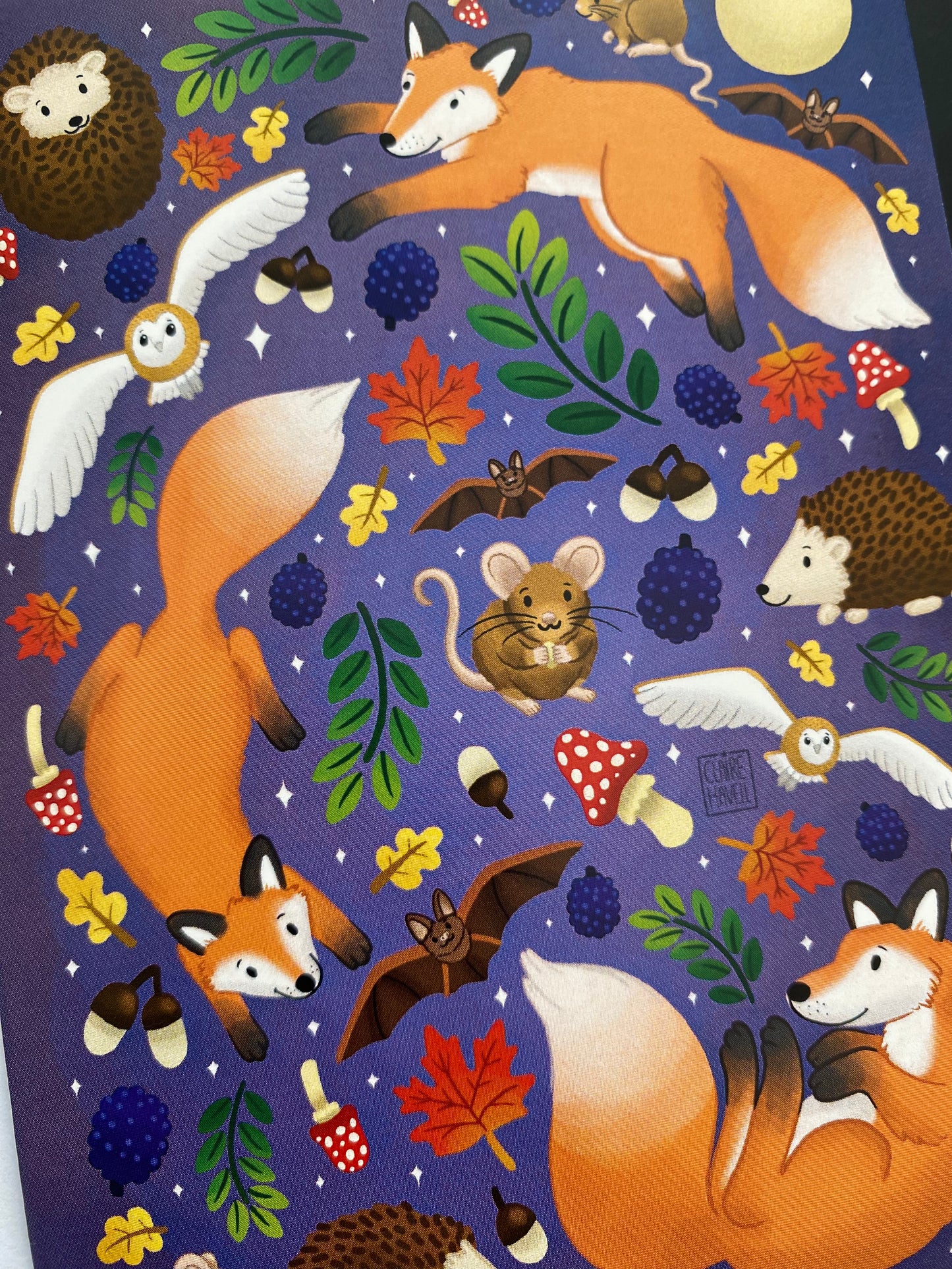 Nocturnal Animals card